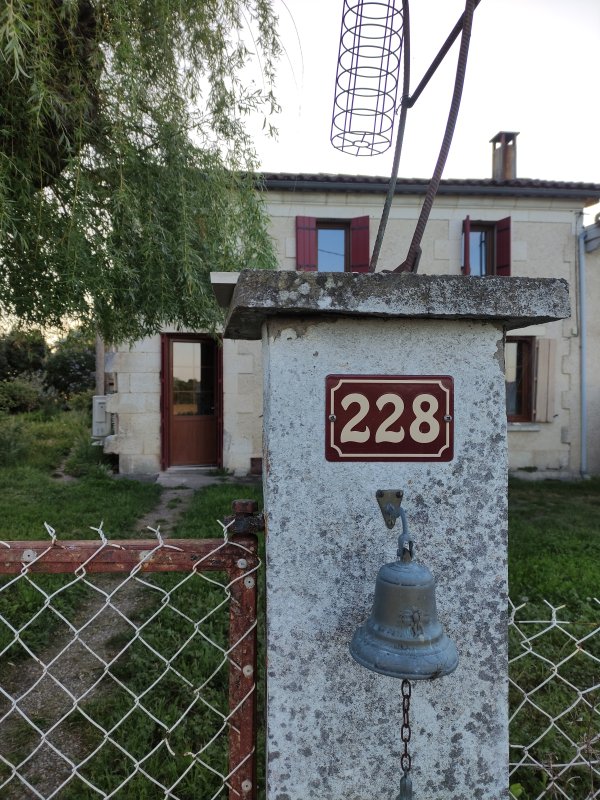 Photo B